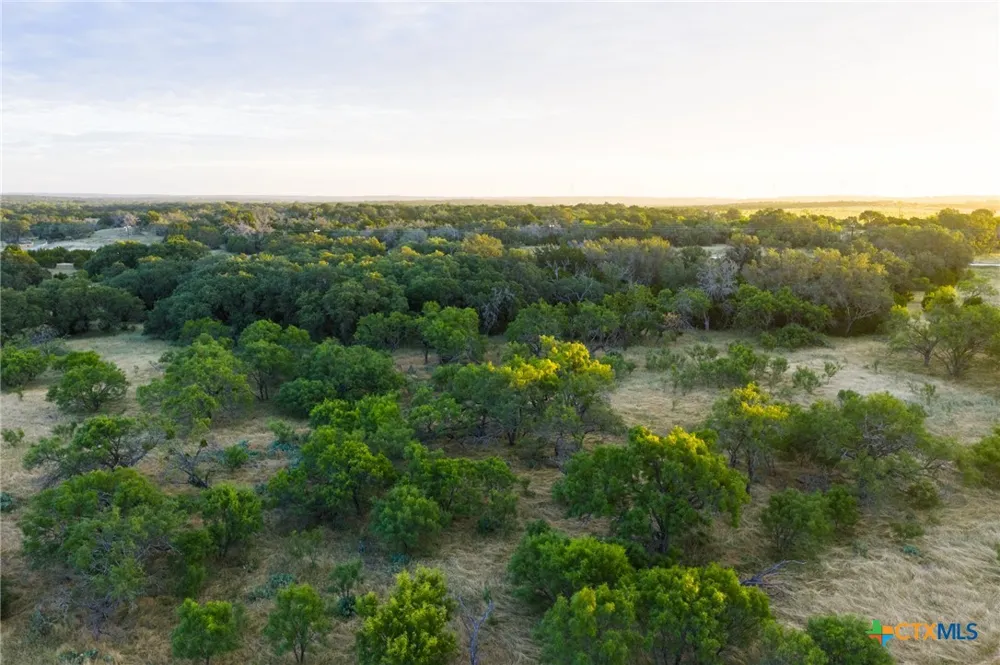 261 W Rolling Oaks Drive Goldthwaite, TX 76844