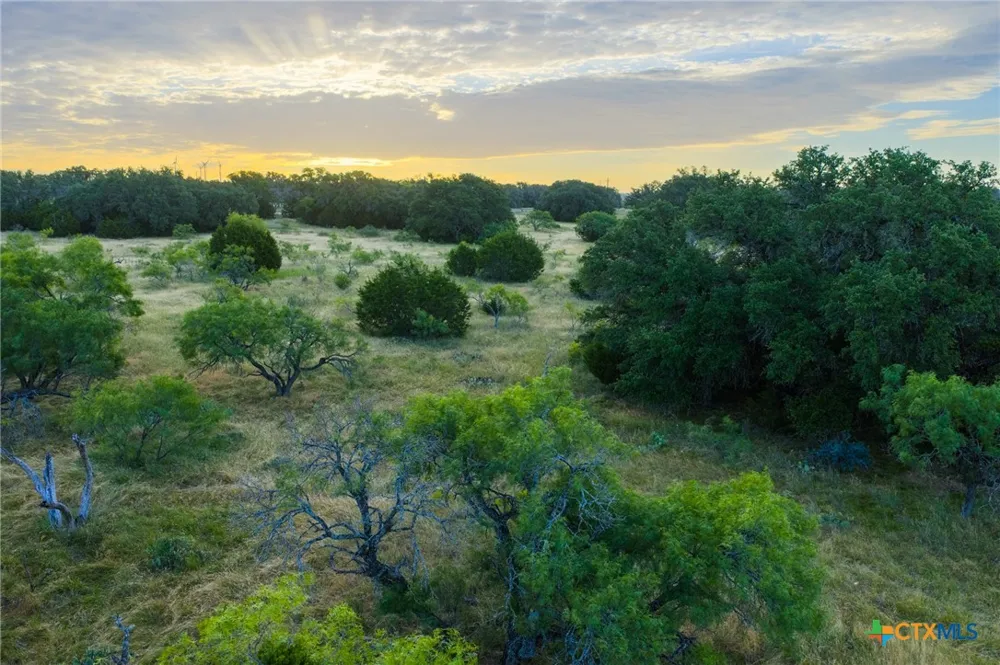 261 W Rolling Oaks Drive Goldthwaite, TX 76844