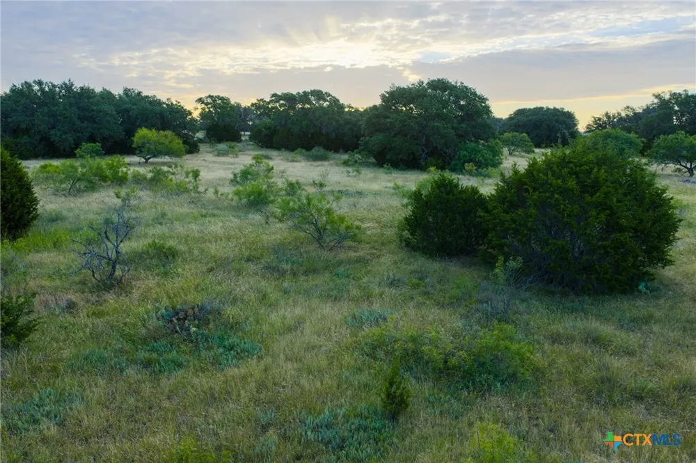 261 W Rolling Oaks Drive Goldthwaite, TX 76844