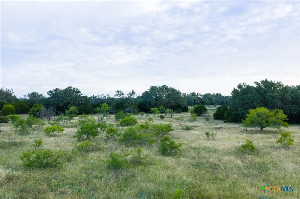 261 W Rolling Oaks Drive Goldthwaite, TX 76844