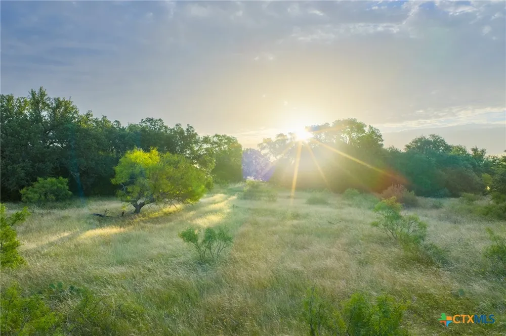 261 W Rolling Oaks Drive Goldthwaite, TX 76844