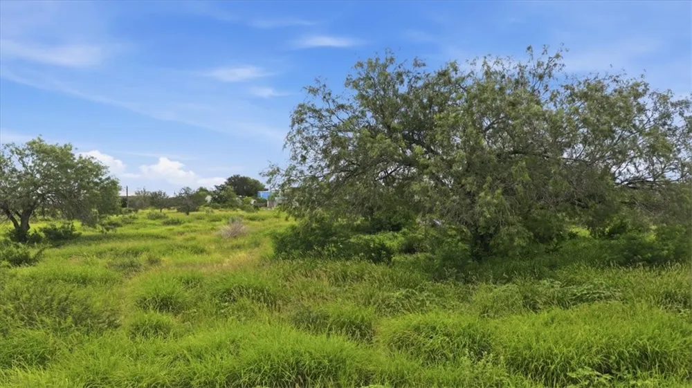 3187 Highway 72 Three Rivers, TX 78071