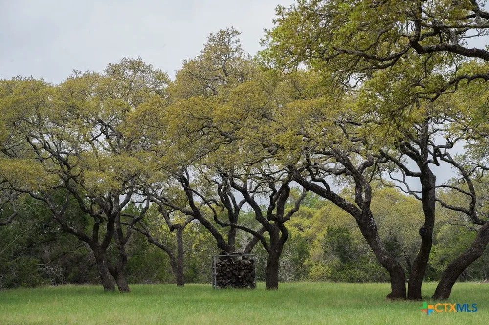426 Mill Run New Braunfels, TX 78132
