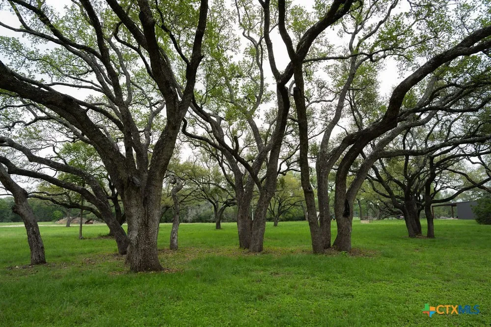426 Mill Run New Braunfels, TX 78132