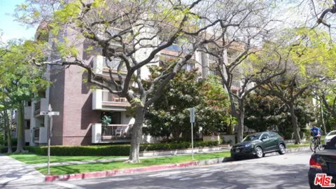 324 Palm Drive #204