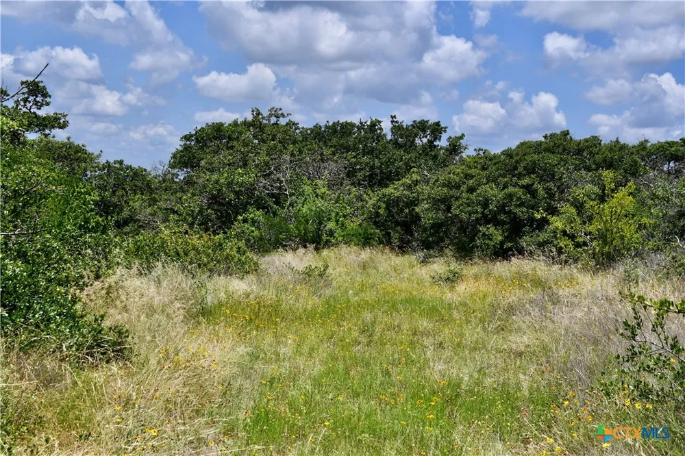 16967 CR 290 Zephyr, TX 76890