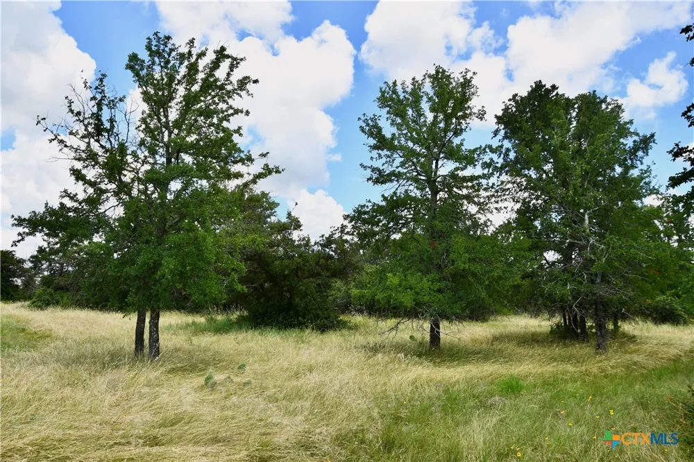 16967 CR 290 Zephyr, TX 76890