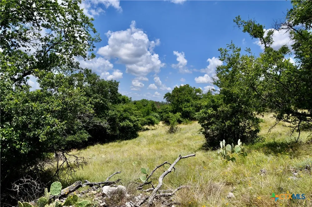 16967 CR 290 Zephyr, TX 76890