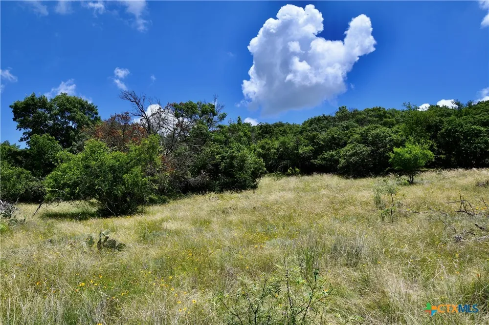 16967 CR 290 Zephyr, TX 76890