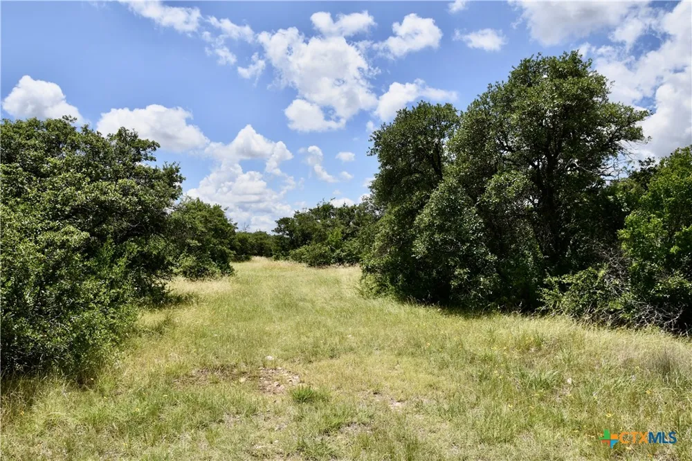 16967 CR 290 Zephyr, TX 76890