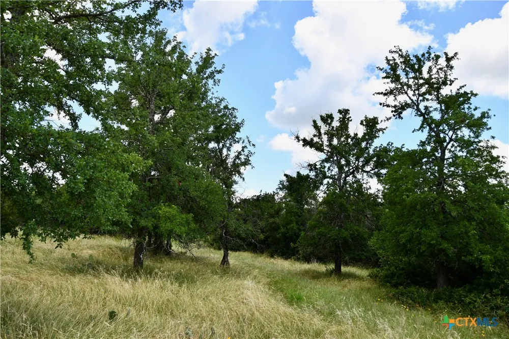 16967 CR 290 Zephyr, TX 76890