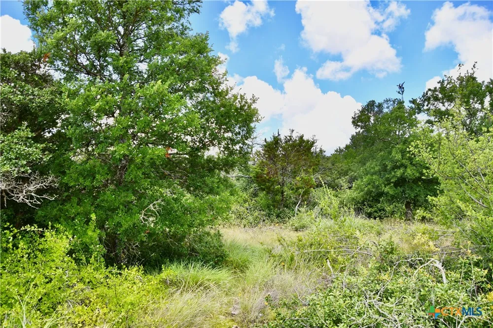 16967 CR 290 Zephyr, TX 76890