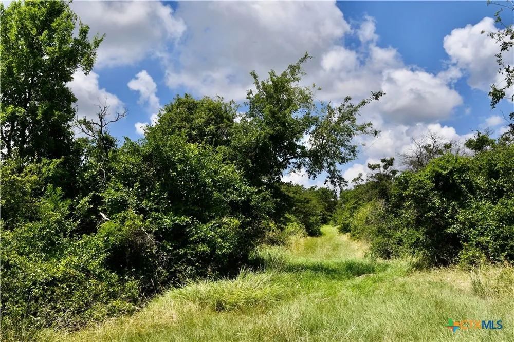 16967 CR 290 Zephyr, TX 76890