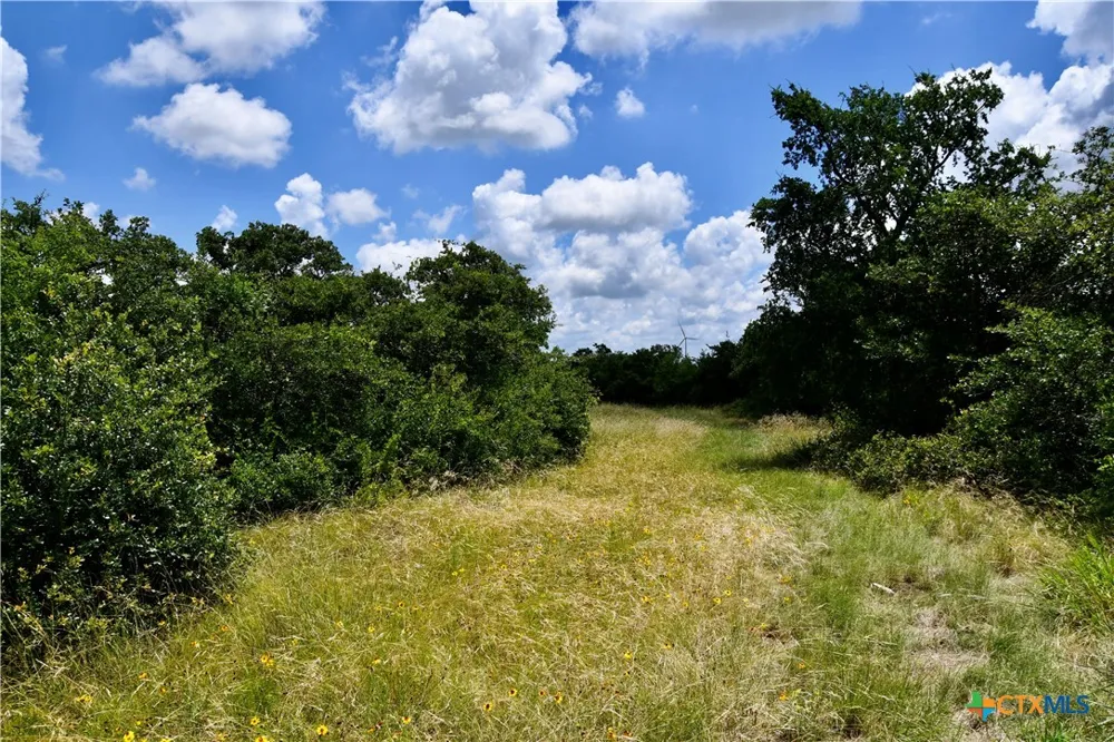 16967 CR 290 Zephyr, TX 76890