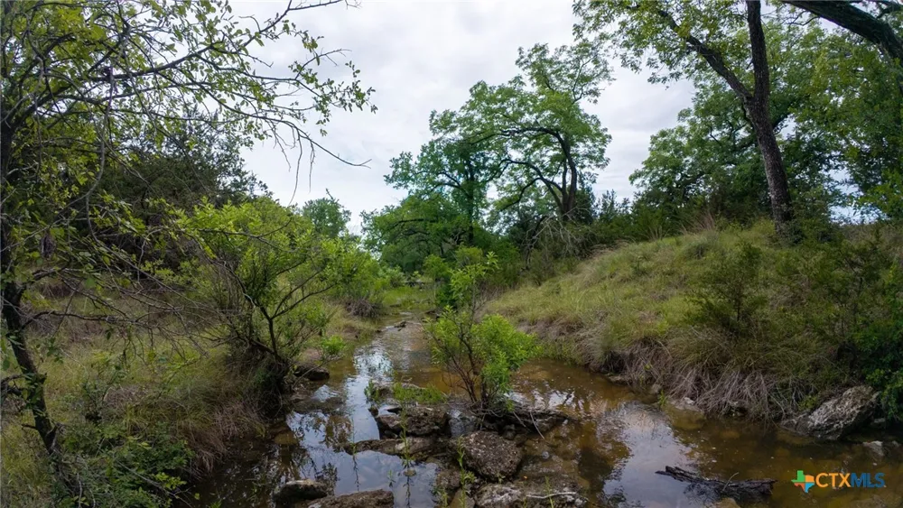 391 Highway 84 E. Goldthwaite, TX 76844