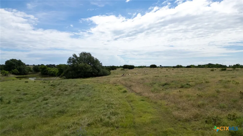 391 Highway 84 E. Goldthwaite, TX 76844