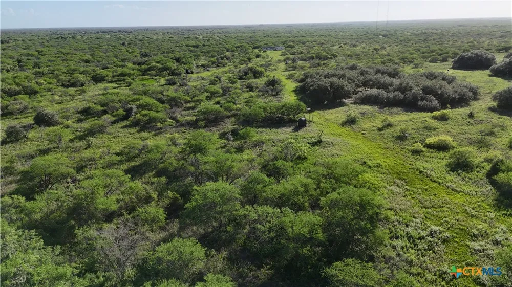 Address Not Shown Goliad, TX 77963