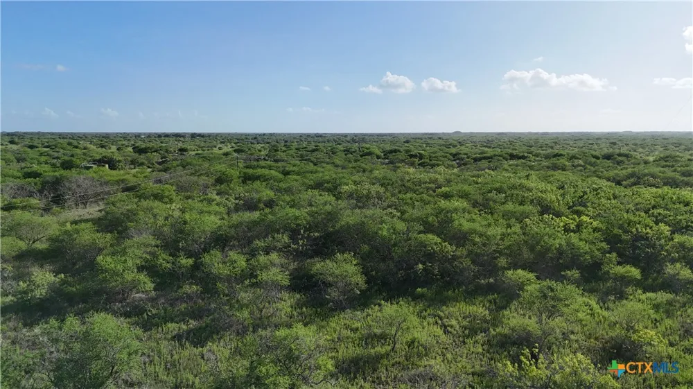 Address Not Shown Goliad, TX 77963