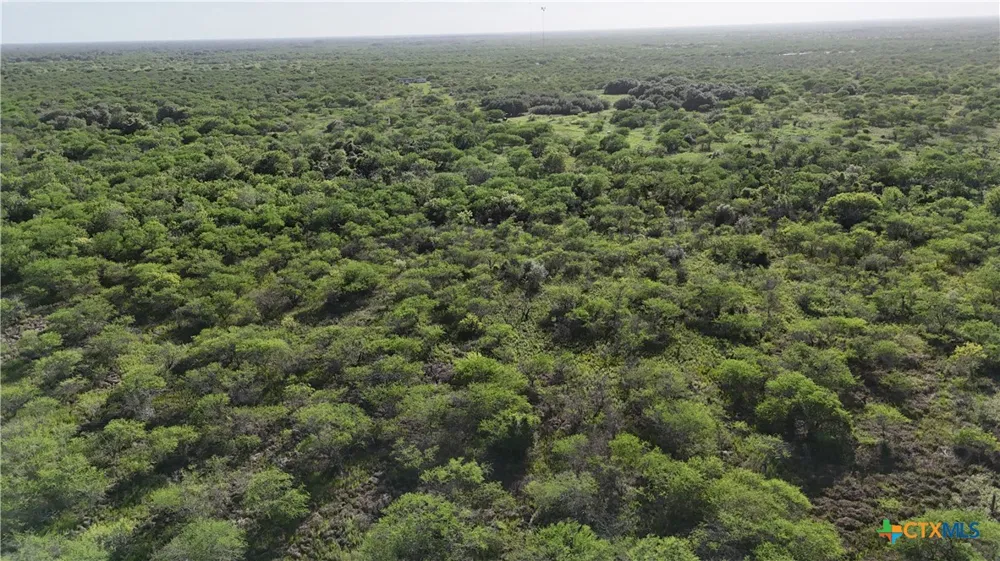 Address Not Shown Goliad, TX 77963
