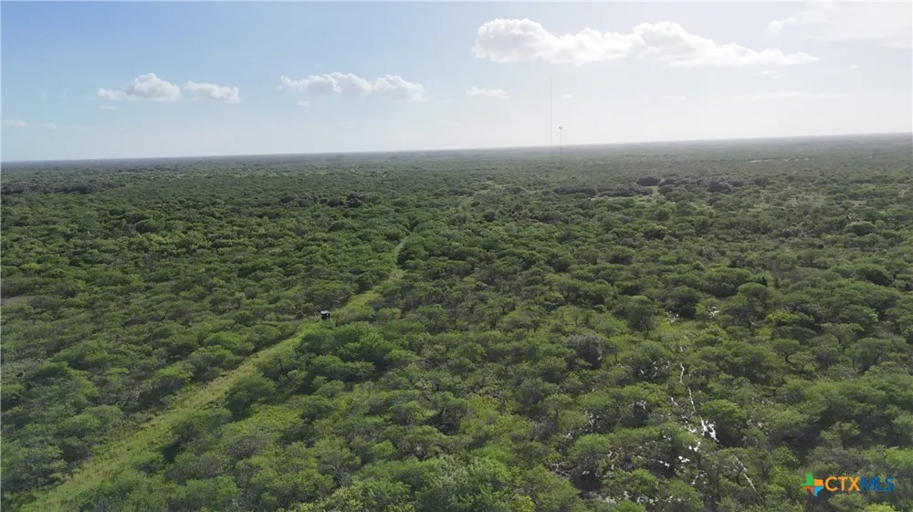 Address Not Shown Goliad, TX 77963