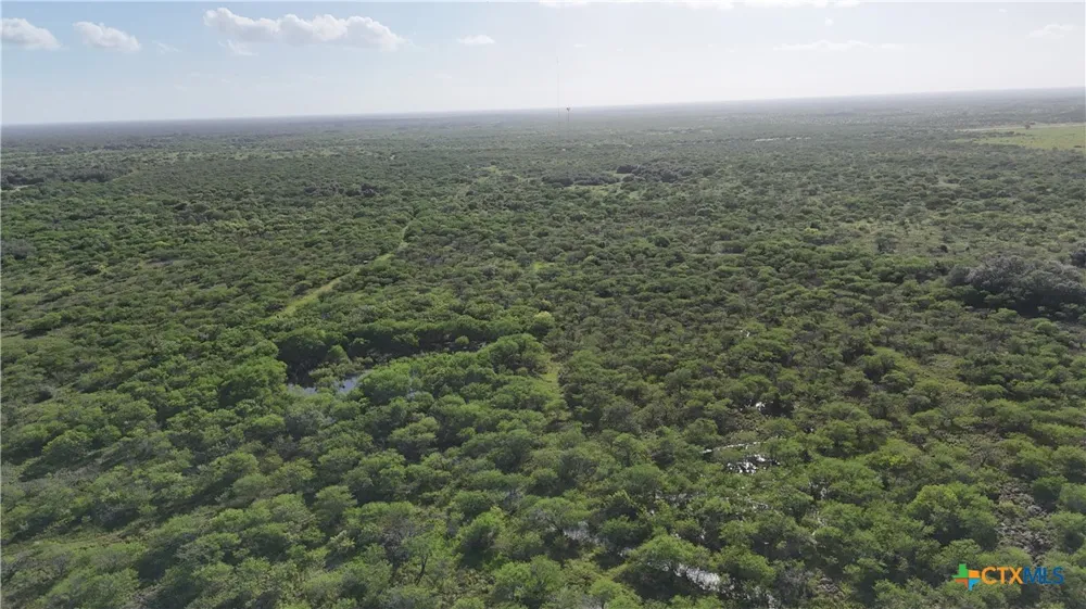 Address Not Shown Goliad, TX 77963