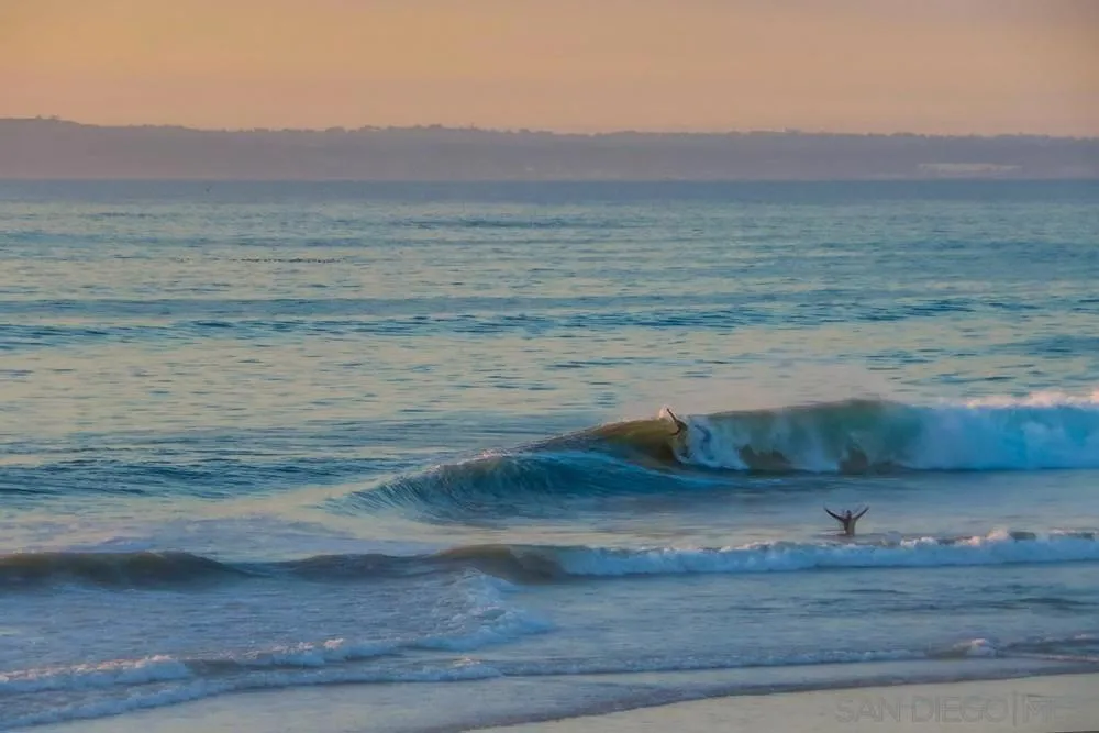 1514 Seacoast Imperial Beach, CA 91932