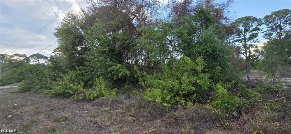 15th Street SW Lehigh Acres, FL 33973