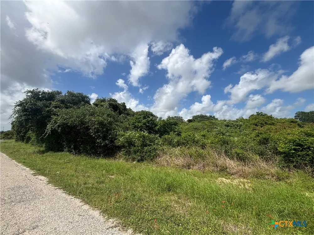 HARBOR ROAD Seadrift, TX 77983