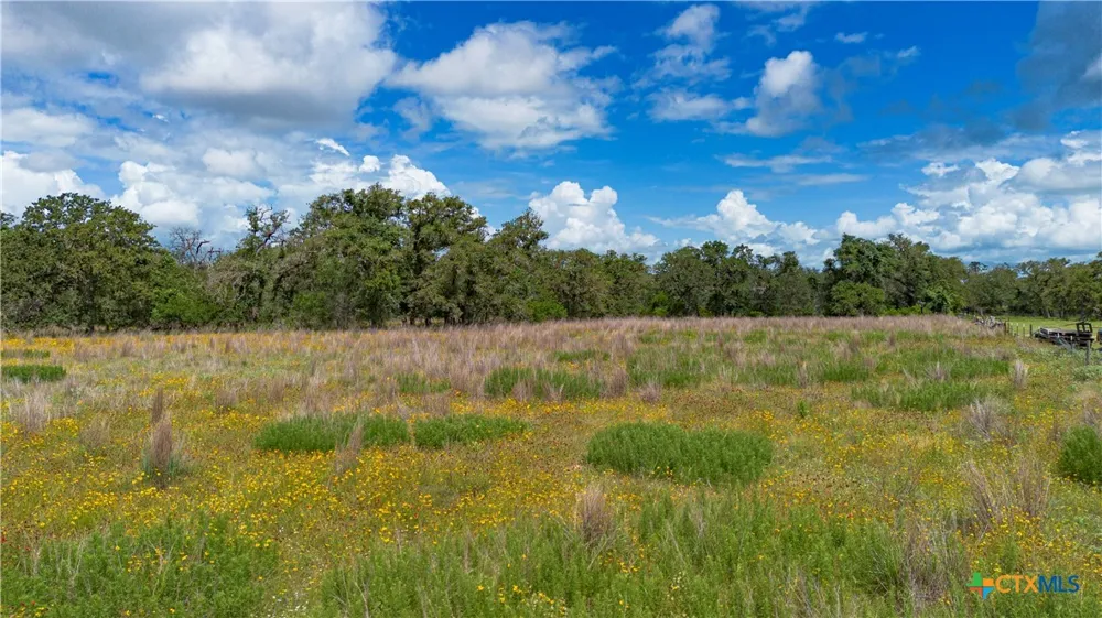 84 Longhorn Road Stockdale, TX 78160
