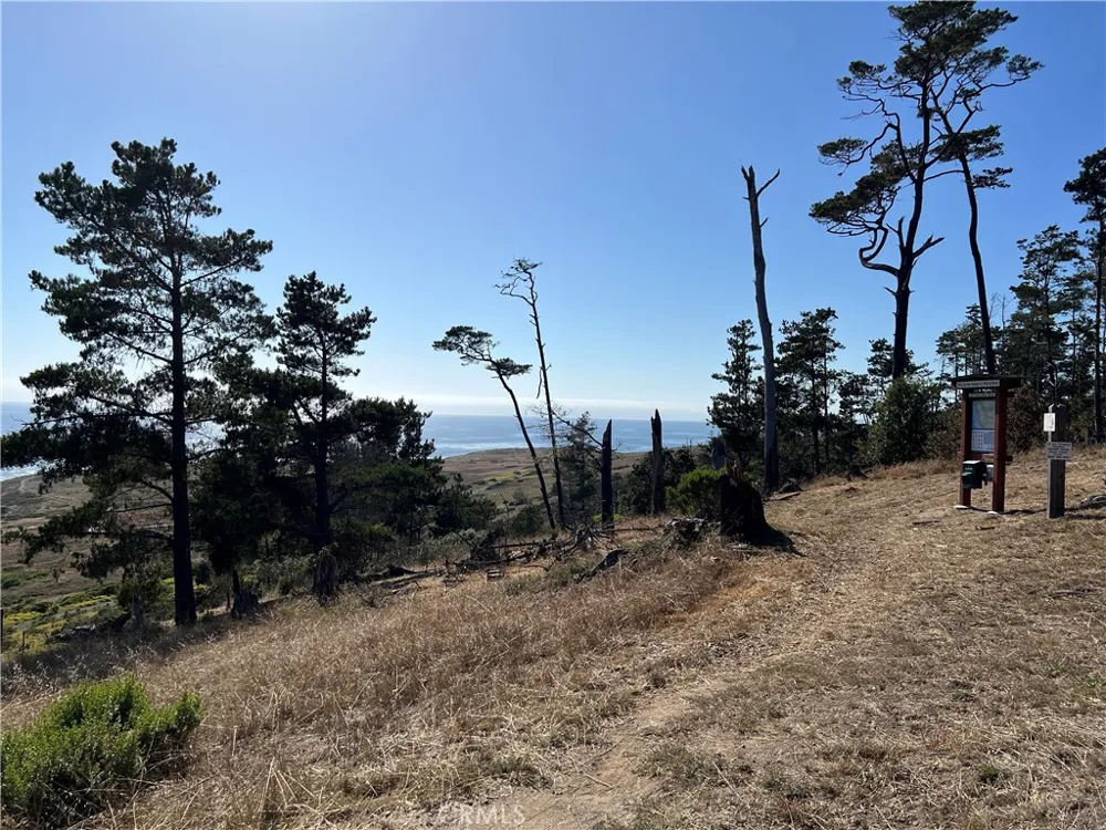 Victoria Way Cambria, CA 93428