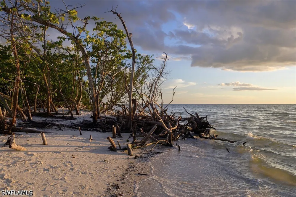 Gulf Shore Drive #161 Naples, FL 34108