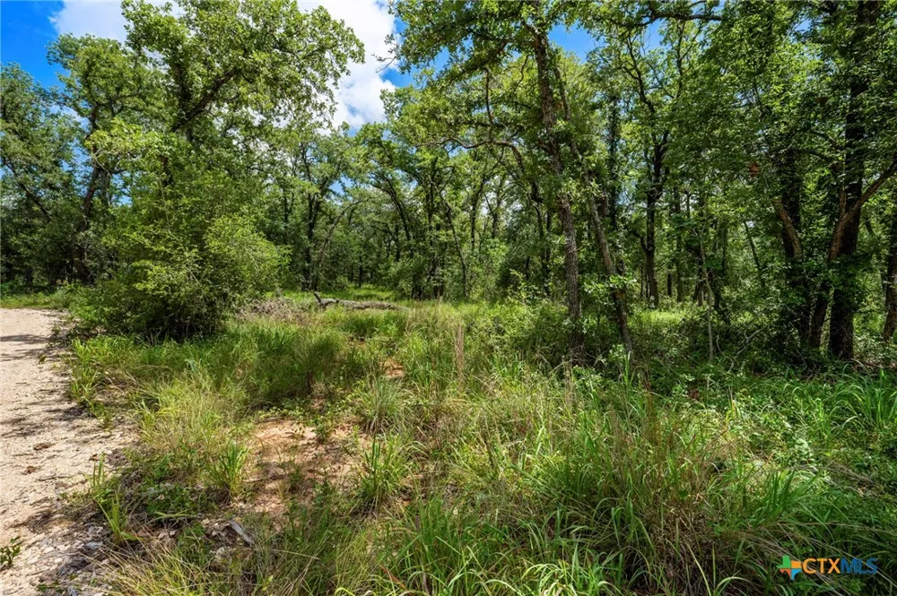 868 County Road 405 Buckholts, TX 76518