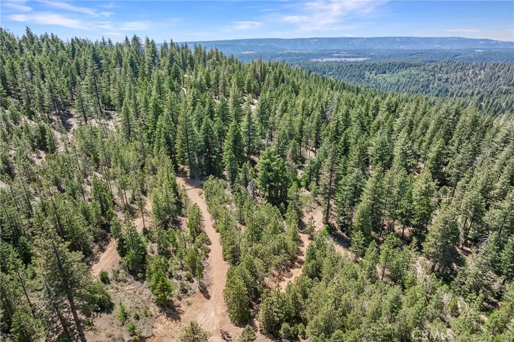 18727 Skyway Stirling City, CA 95978