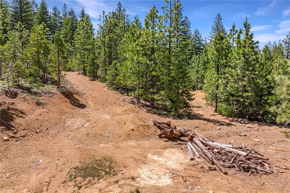 18727 Skyway Stirling City, CA 95978