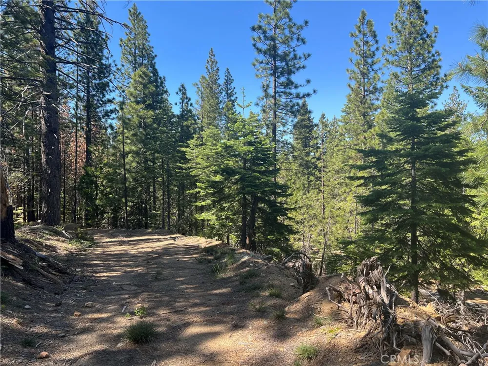 18727 Skyway Stirling City, CA 95978