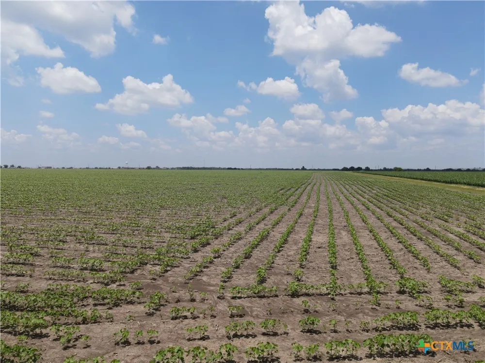 Willmann Road Seguin, TX 78155