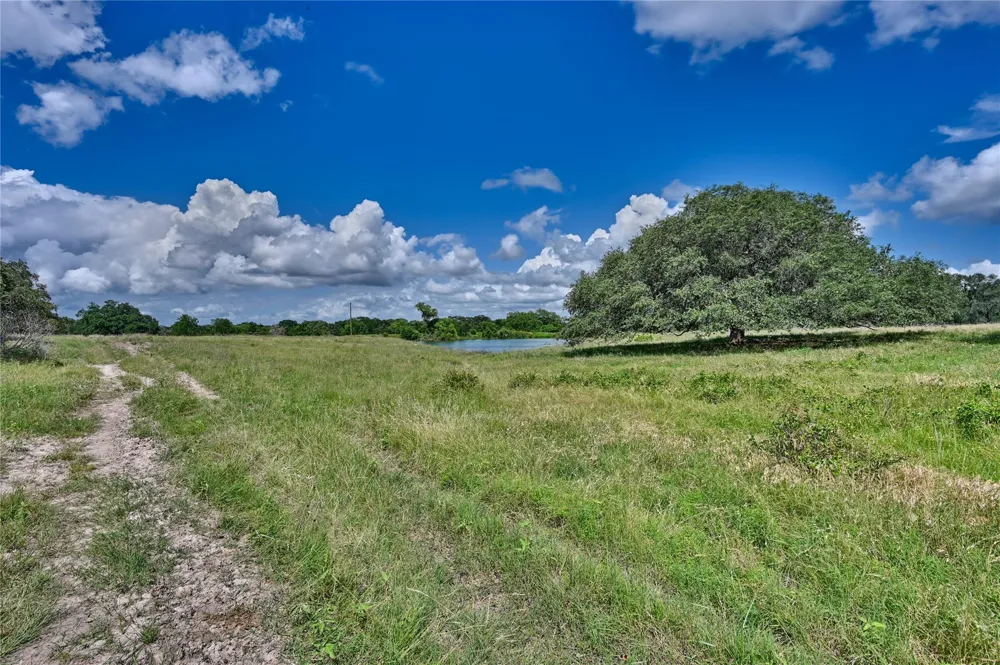 Homeyer Mtn Road Burton, TX 77835