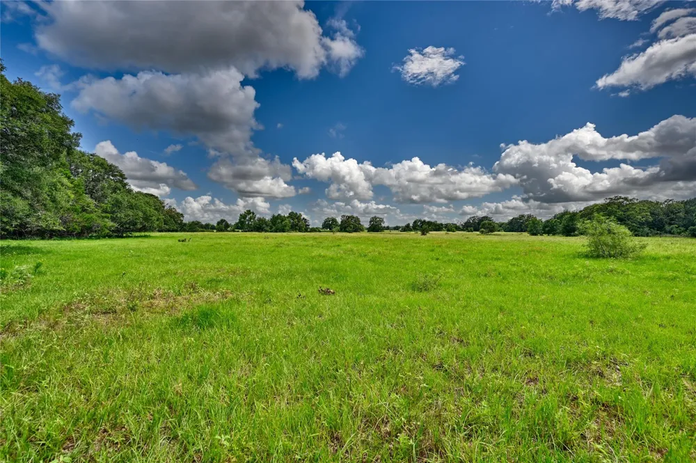 Homeyer Mtn Road Burton, TX 77835