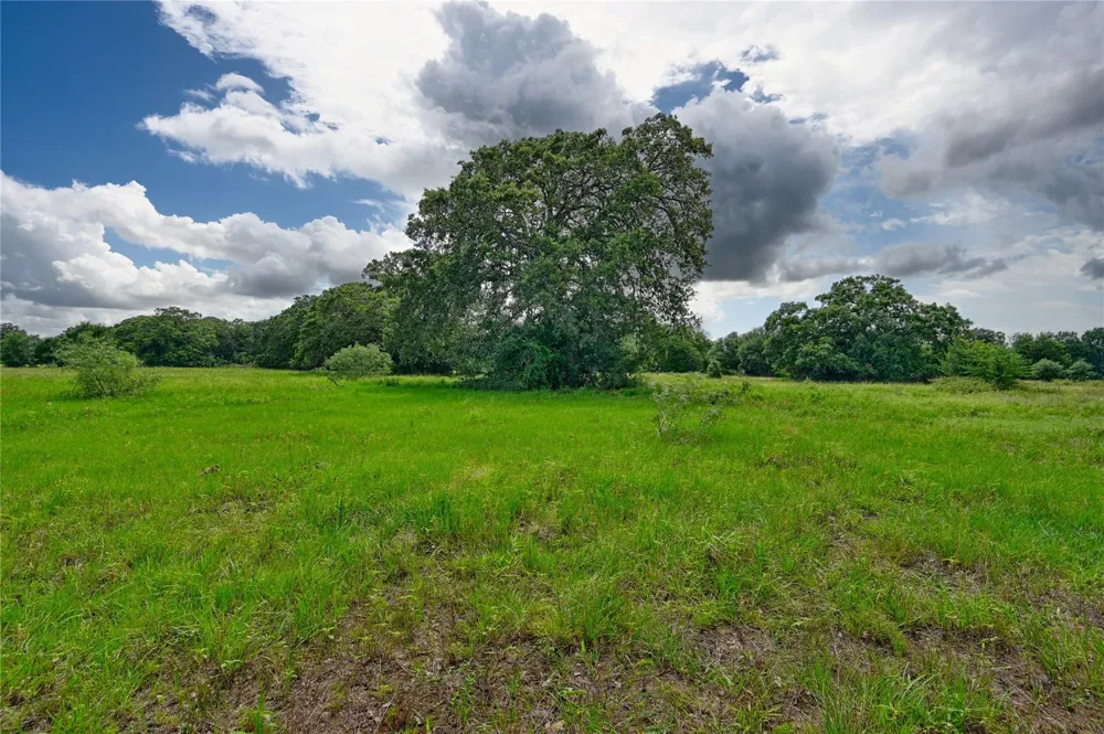 Homeyer Mtn Road Burton, TX 77835
