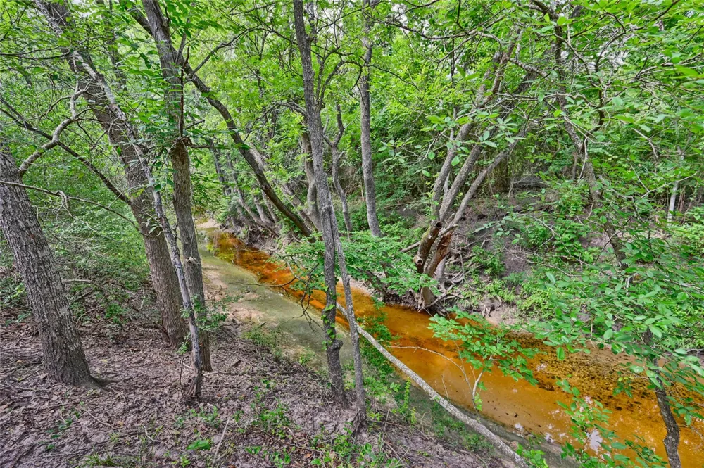 Homeyer Mtn Road Burton, TX 77835