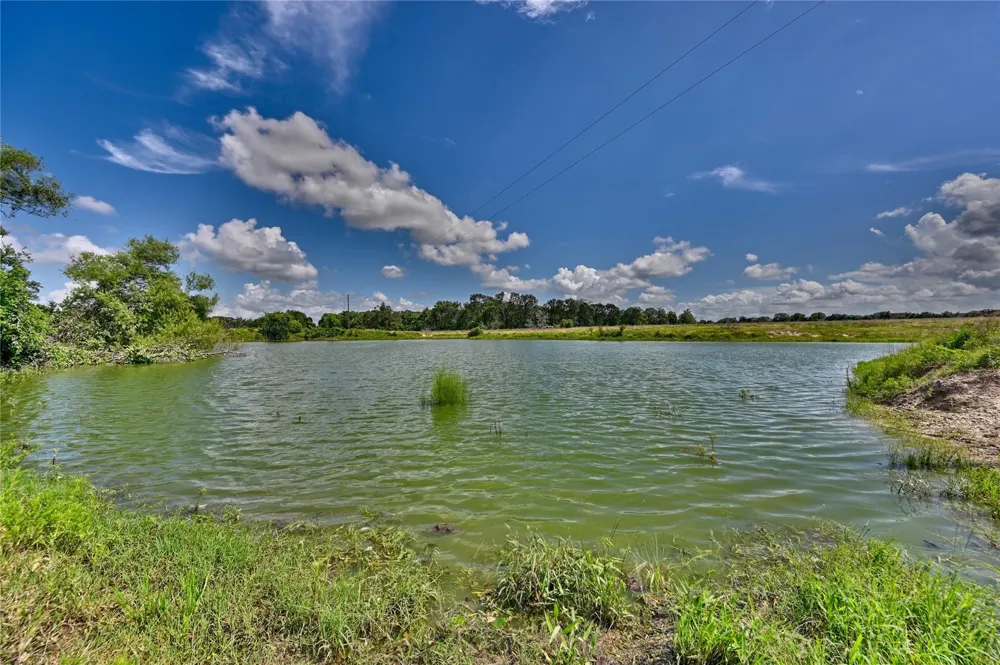 Homeyer Mtn Road Burton, TX 77835