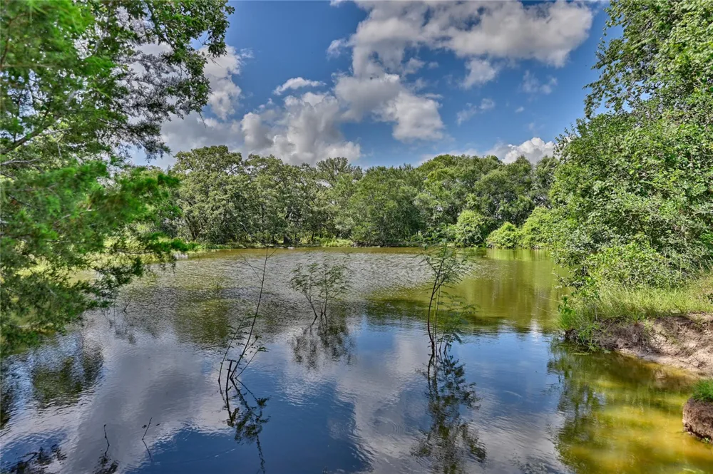 Homeyer Mtn Road Burton, TX 77835
