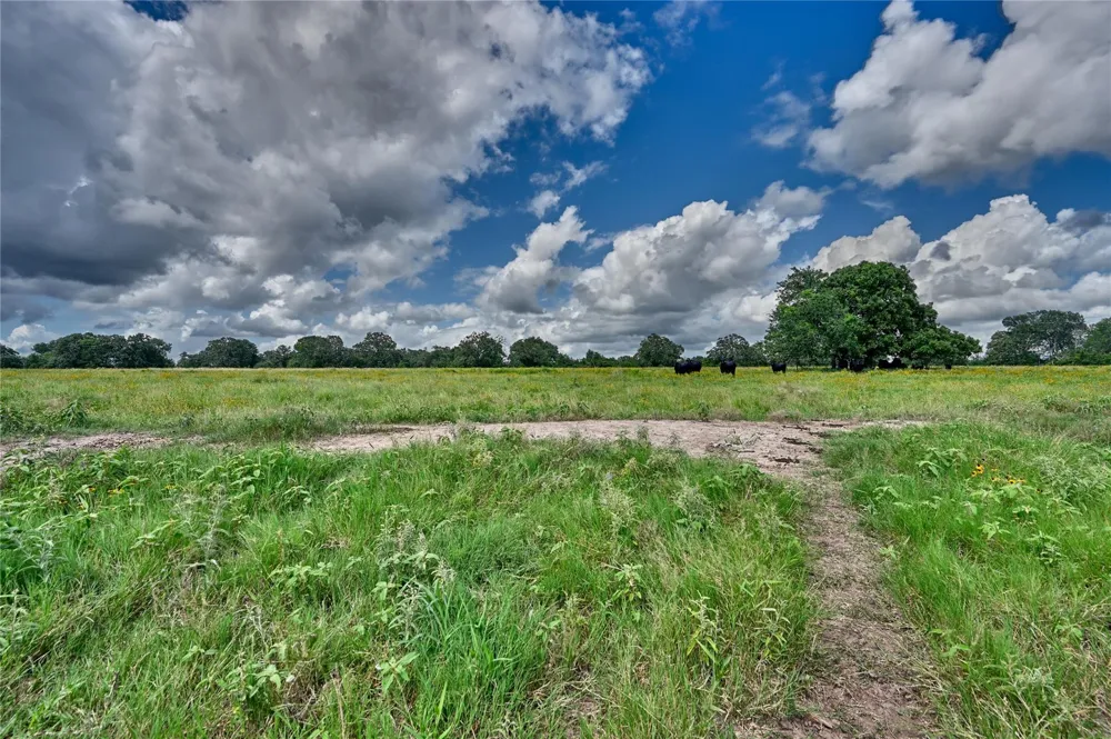 Homeyer Mtn Road Burton, TX 77835