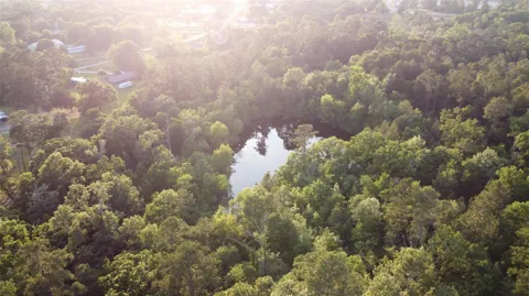 Lake Road