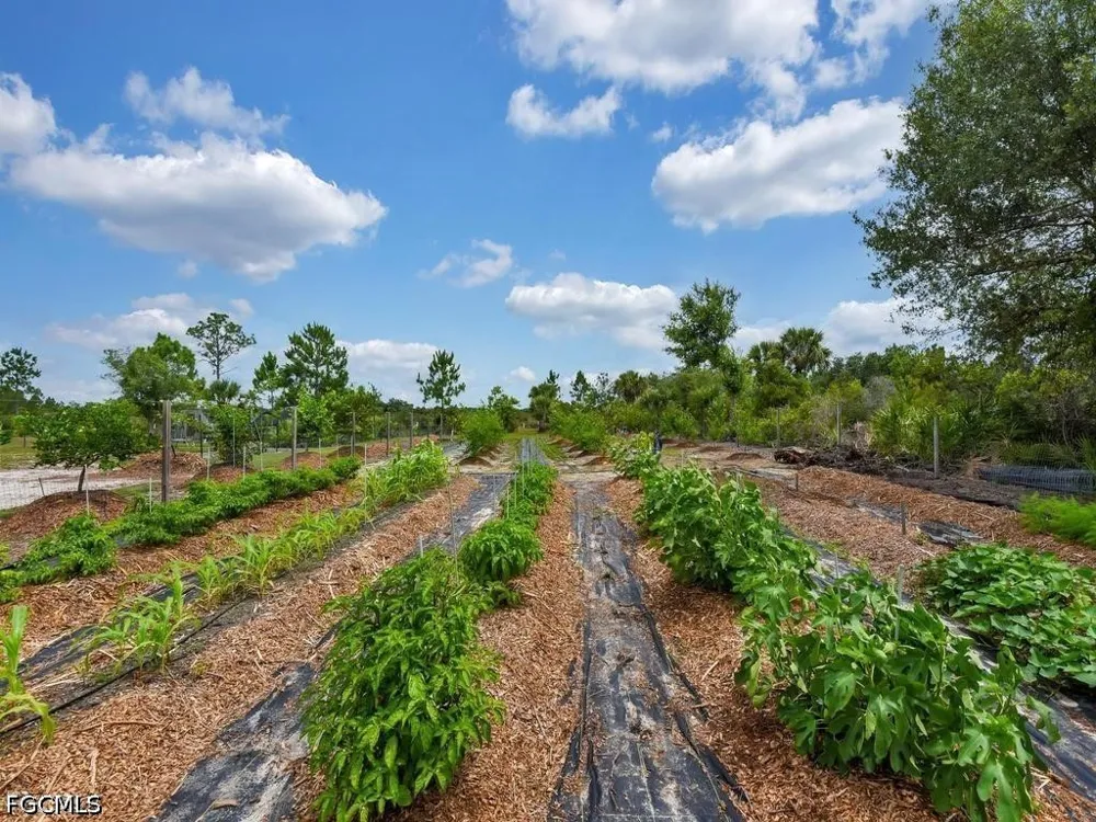 Bermont Road Punta Gorda, FL 33982