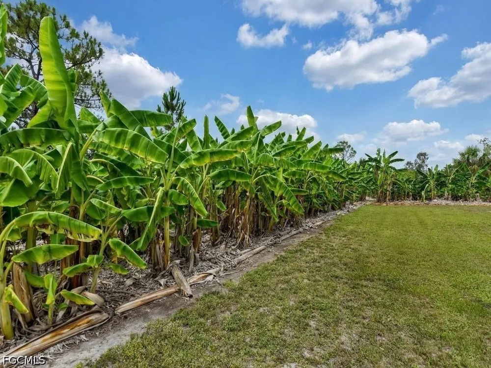 Bermont Road Punta Gorda, FL 33982