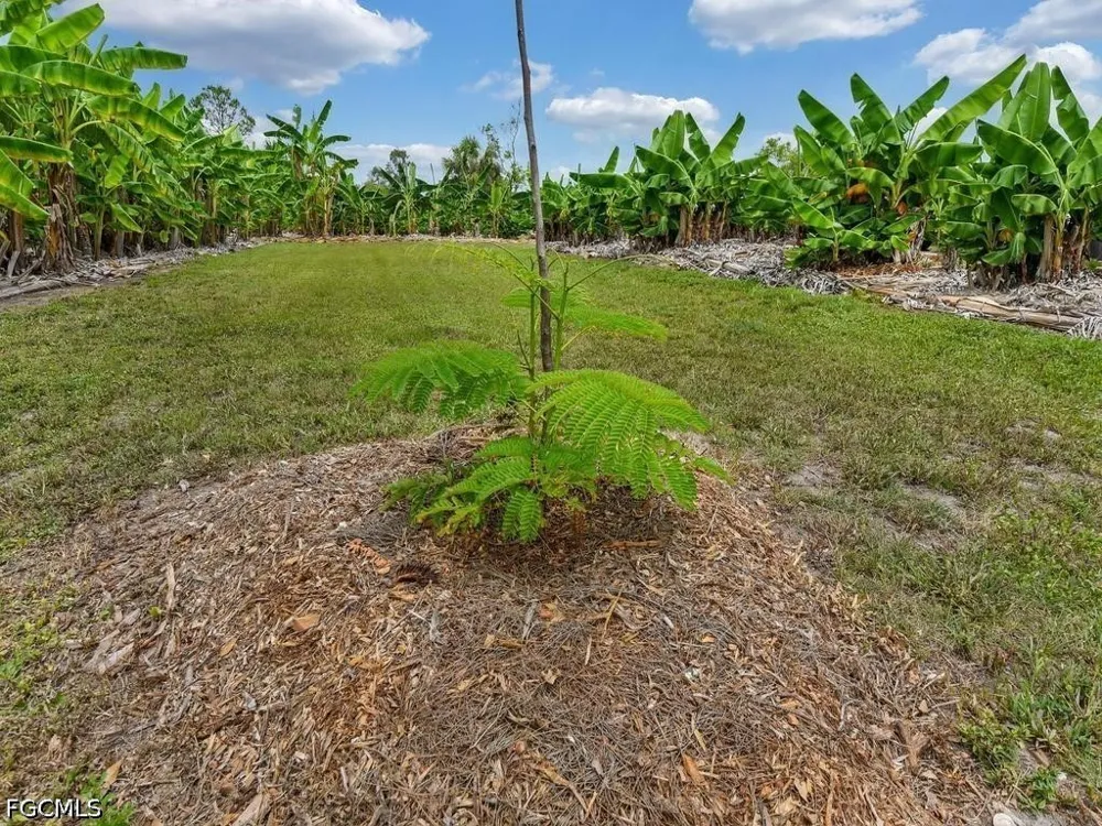 Bermont Road Punta Gorda, FL 33982