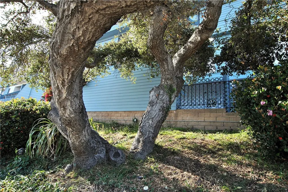 1633 Ramona Grover Beach, CA 93433