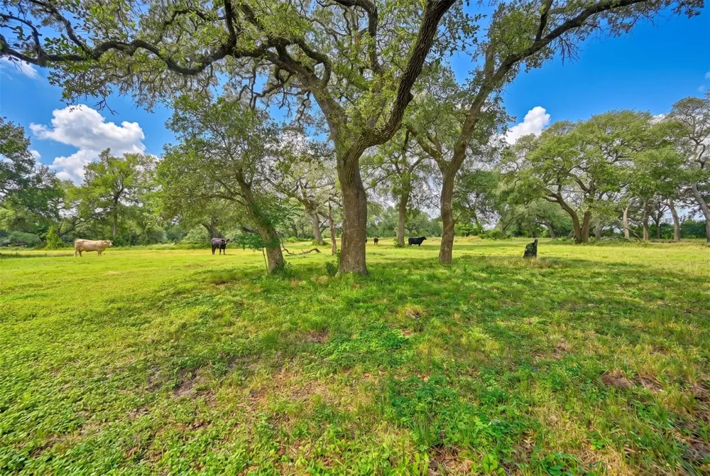 10100 Harmon School Road Burton, TX 77835