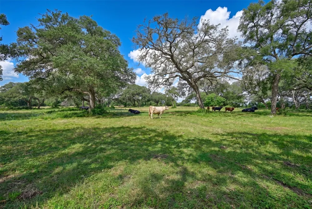 10100 Harmon School Road Burton, TX 77835